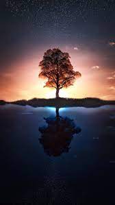 Wallpaper Wallpaper New Nature Wallpaper Beautiful Wallpapers Nature Photography