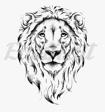 Lion Face Outline Lion Face Drawing Hd Png Download Transparent Png Image Pngitem Lion outline free vector we have about (9,528 files) free vector in ai, eps, cdr, svg vector illustration graphic art design format. outline lion face drawing hd png