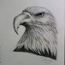 Realistic color pencil animal drawings. Draw Any Realistic Drawing Of Any Animals Portraits And Objects By Sabrinasophia Fiverr