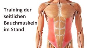 Dann finden sie hier uebungen für effektives bauchmuskeltraining. Training Der Seitlichen Bauchmuskeln Im Stand Youtube