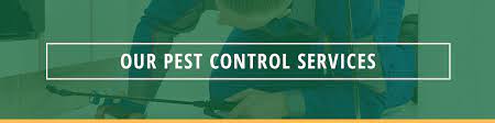 Spiderman pest control services has been in business for over 20 years. Affordable Pest Control Sacramento Free Quotes Earthwise Pest Management