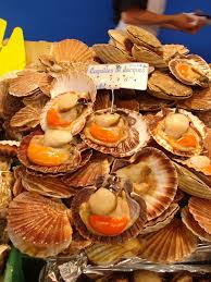 Toutes marques first atlantique les viviers de st marc. Coquille Saint Jacques Wikipedia