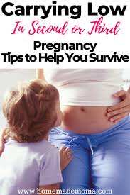 Pin On Early Pregnancy Tips