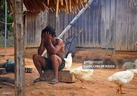 TOPSHOT - A member of Uru Eu Wau Wau tribe covers his face in ...