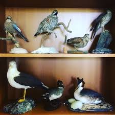 We did not find results for: Stream Why Do Birds Suddenly Appear Excerpt By Ahti Ahti Listen Online For Free On Soundcloud