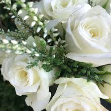 Rosen In Weiss Mit Erika Rosen Weisse Rosen Weisse Blumen