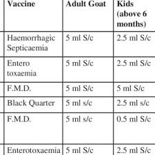 Vaccination Schedule For Pigs Download Table