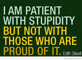 Stupidity Quote Inspiration Stupid Quotes Inspirational Quotes Funny Good Morning Wishes