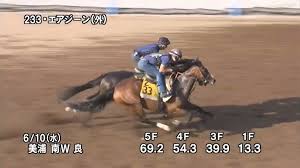 マーメイドステークス 20(日) ユニコーンステークス 26(土) 東京ジャンプステークス 27(日) 宝塚記念 ãƒžãƒ¼ãƒ¡ã‚¤ãƒ‰ã‚¹ãƒ†ãƒ¼ã‚¯ã‚¹2020 è¿½ã„åˆ‡ã‚Š å„é¦¬ã®çŠ¶æ…‹ã‚'è¦‹æ¥µã‚ã‚