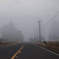 Apa kewajiban utama seorang valkyrie di northern vale? Quiz Readtheory