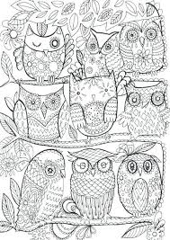 Owls Color Coloring Pages Owl Adult Coloring And Fay Martin Owls Printable Coloring Cartoon Owl Coloring Sheet Owl Coloring Pages Coloring Books Coloring Pages