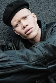 Ice Models Johannesburg