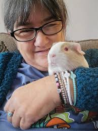 What is the ideal "settle in" period for rescued guinea pigs?