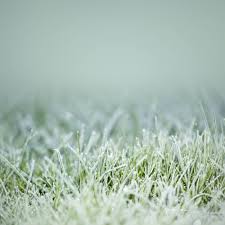 Hired 157 times on greenpal. 2021 Lawn Care Services Prices Yard Maintenance Cost
