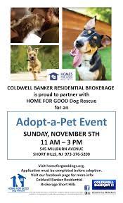 If you have experienced this as well with them, please contact me. Home For Good Dogs Adopt A Pet Event Home For Good Dogs