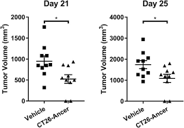 I don't think they'll make the last indiana jones movie with harrison ford feature him being unfaithful. 34th Annual Meeting Pre Conference Programs Of The Society For Immunotherapy Of Cancer Sitc 2019 Part 2 Journal For Immunotherapy Of Cancer Full Text