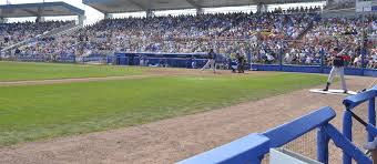 dunedin blue jays tickets seatgeek