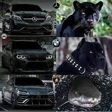 Which One Would You Take Lamborghini Bmw Mercedesbenz Follow Dailyspeedwhips For More Lik Super Cars Luxury Cars Audi Super Luxury Cars