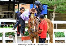Horses, ponies and more await at denai alam recreational and riding club (darc). Tuaran Sabah Malaysia Image Photo Free Trial Bigstock