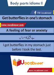 Get Butterflies In One S Stomach Idiom With Hindi And Urdu Meanings And Sentence Download Pdf Idioms English Language Learning English Lessons