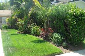 10 Awesome Ideas How To Craft Small Tropical Backyard Ideas Tropical Landscaping Tropical Backyard Tropical Garden