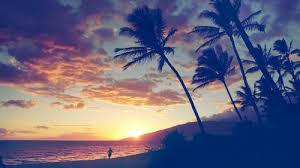 Beach Nights Facebook Cover Photos Cover Photos Cover Pics #capasdofacebook #tamanhodascapas #facebook mas afinal. beach nights facebook cover photos