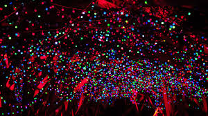 Wondering Where To See Christmas Lights Celebrate The Holiday Season With These Best Places To See Christmas Lights Near Me Christmas Lights Christmas Events