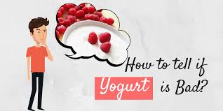 Yes , you can eat yogurt after the. How To Tell If Yogurt Is Bad Expired Storage Precautions To Follow