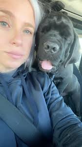 Puppy socialization in Park Hill or Northglenn area?