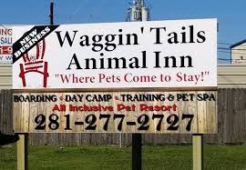 Check spelling or type a new query. Pet Boarding Service In Richmond Tx Pet Boarding Near Me Waggin Tails Animal Inn