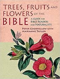 In olden times the words for roses and lilies were used in a loose way to indicate any beautiful flowers of these types. Trees Fruits And Flowers Of The Bible Goodfellow Peter 9781912081363 Amazon Com Books