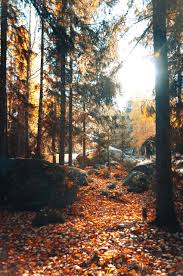 Welcome to hi beautiful aesthetics, our certified professionals are always available to. Does Klein Tx Compare To The Woodlands Tx Jo Co Not Just Your Realtor Your Resource