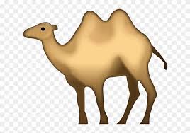 Find over 100+ of the best free camel images. Camel Animal Transparent Png Images Free Download Camel Emoji Png Download 1141664 Free Download On Pngix