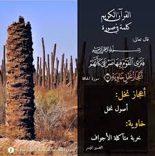 القران الكريم كلمة في صورة جزء 29 in 2021 emoji pictures photo quran tafseer