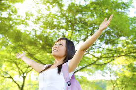 N'importe qui pouvait donc s'installer en tant qu'artisan du bâtiment. Comment Devenir Animateur Nature Fiche Metier