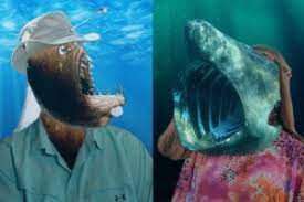 Oct 19, 2020 · carole baskin has dropped a bomb: That B Tch Carole The Basking Shark Killed Her Husband Fed Him To The Tiger Sharks Joe Exoskeleton The Manatee