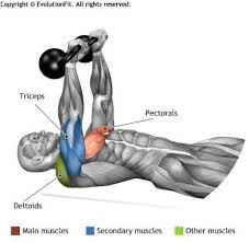 Chest Floor Press 2 Kettlebell Kettlebell Kettlebell Workout Fitness Body