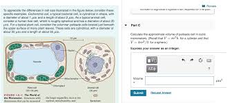 Animal cells versus plant cells. I Review Tiutider Ui Signmcail Iyures Linantequireu Chegg Com