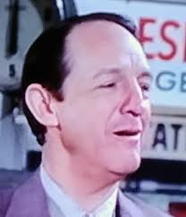 William Schallert's acting career and roles