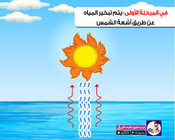 Pin On أنشطة رياض اطفال