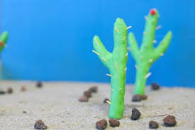 Desert Biome In A Box How To Make A Desert Diorama With Pictures Ehow Desert Diorama Diorama Kids Desert Biome