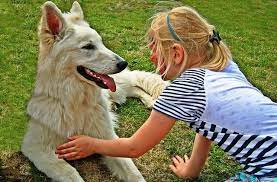 Maybe you would like to learn more about one of these? Comment Devenir Famille D Accueil Pour Chien