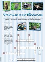 Sie entwirft seit 2016 exklusiv für «wir eltern» ausmalbilder und kinderrätsel. Tierisches Gitterratsel Landkind