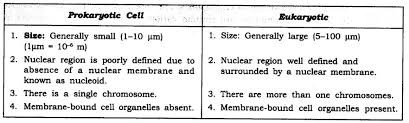 Check out the difference between prokaryotic and. Class 9 Science Chapter 5 The Fundamental Unit Of Life