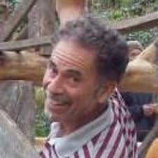 Designing a Sustainable Future—Max Bergman Interview