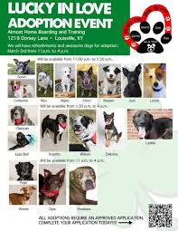 Almost home pet rescue kentucky. 52 Louisville Ideas Louisville Pets One Story Ranch Style Homes