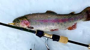 This article highlights the best trout lures. The Best Baits And Lures For Stocked Trout Meateater Fishing