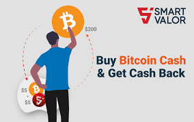 When thinking about the risks you might face when you decide to invest in bitcoin cash, the first thing you need to understand is that we are looking at very, very new technology. Pr Smart Valor Lists Bitcoin Cash Offers Users 5 Cash Back In Crypto Press Release Bitcoin News