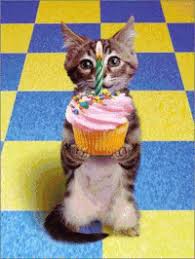 Cats wish you the best.consider to adopt a pet, it will be the best birthday gift you can get.subscribe and click the bell now to watc. Most Popular Happy Birthday Gifs Get The Best Gif On Gifer