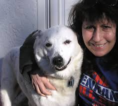 This my handsome boy Sydney. He loves a Christmas tree